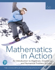 Capa do artigo Mathematics In Action