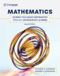 Mathematics: Journey From Basic Mathematics Through Intermediate Algebra - Preview