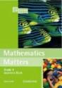 Mathematics Matters Grade 4 Learner'S Book - Preview