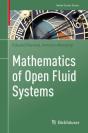 Mathematics Of Open Fluid Systems - Preview