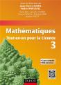 Mathématiques ; 3e Année ; Tout-En-Un - Preview