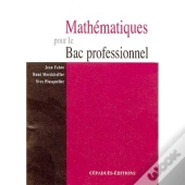 Mathematiques Pour Le Bac Professionnel