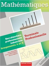 Mathématiques ; Terminale Professionnelle Groupements A Et B ; Manuel De L'Élève
