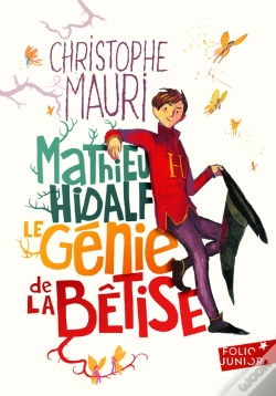 Capa do artigo Mathieu Hidalf, Le Génie De La Bêtise