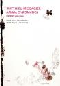 Mathieu Messagier ; Anima Chromatica ; Dessins 2007-2009 - Preview