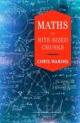 Maths In Bite-Sized Chunks - Preview
