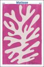 Matisse, 1941-1954 : Journal De L'Exposition - Preview