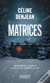 Capa do artigo Matrices