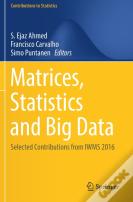 Matrices, Statistics And Big Data