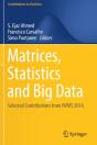 Matrices, Statistics And Big Data - Preview