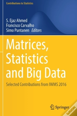 Capa do artigo Matrices, Statistics And Big Data