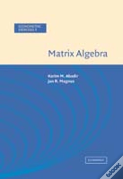 Capa do artigo Matrix Algebra
