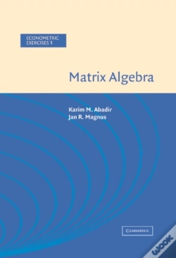 Capa do artigo Matrix Algebra