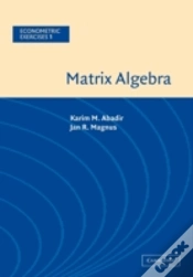 Capa do artigo Matrix Algebra
