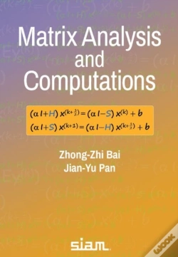 Capa do artigo Matrix Analysis And Computations