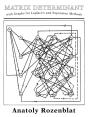 Matrix Determinant With Graphs For Laplace'S And Expansion Methods - Preview