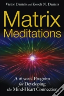 Capa do artigo Matrix Meditations