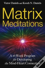 Capa do artigo Matrix Meditations