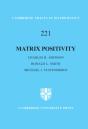 Matrix Positivity - Preview