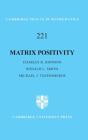 Matrix Positivity - Preview