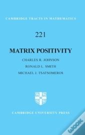Matrix Positivity