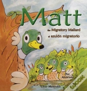 Capa do artigo Matt