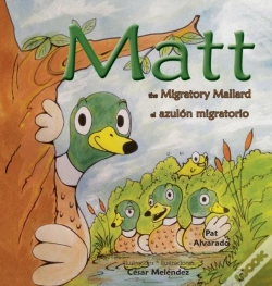 Capa do artigo Matt