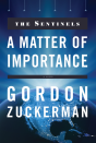 Matter Of Importance - Preview