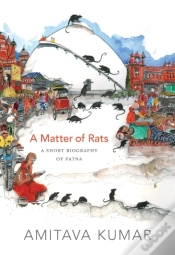 Capa do artigo Matter Of Rats