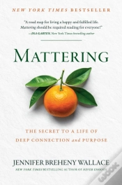 Capa do artigo Mattering