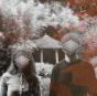 Matters - Vinil - Preview