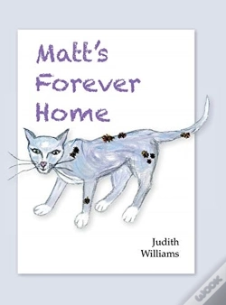 Capa do artigo Matt'S Forever Home
