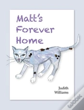 Capa do artigo Matt