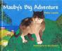 Mauby'S Big Adventure - Preview