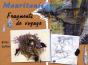 Mauritanie ; Fragments De Voyage - Preview
