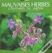 Mauvaises Herbes Utilitaires Du Jardin