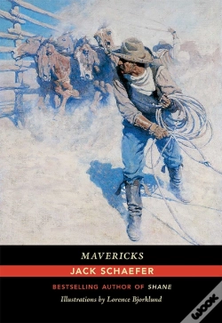Capa do artigo Mavericks