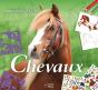 Maxi Bloc Récré ; Chevaux - Preview