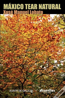 Capa do artigo Máxico Tear Natural