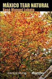 Capa do artigo Máxico Tear Natural