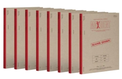 Capa do artigo Maxident - CD