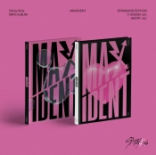 Capa do artigo Maxident - CD