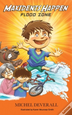 Capa do artigo Maxidents Happen
