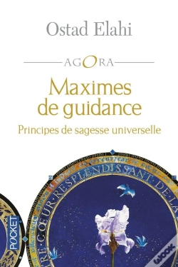 Capa do artigo Maximes De Guidance