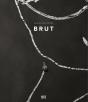 Maximilian Prufer Brut /Anglais/Allemand - Preview