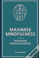 Maximise Mindfulness, Minimise Mindlessness