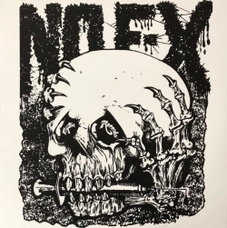 Capa do artigo Maximum Rocknroll - Vinil
