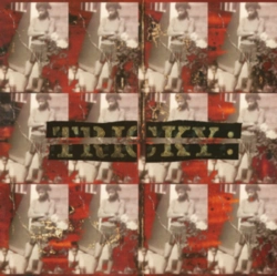 Capa do artigo Maxinquaye - Vinil