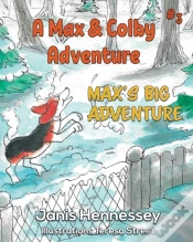 Capa do artigo Max