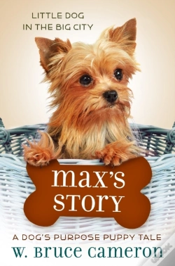 Capa do artigo Max'S Story